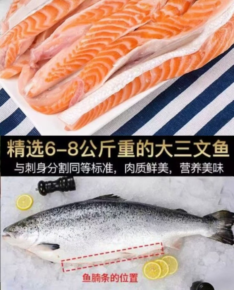 三文鱼腹条鱼腩条挪威三文鱼肉多多大西洋三文鱼