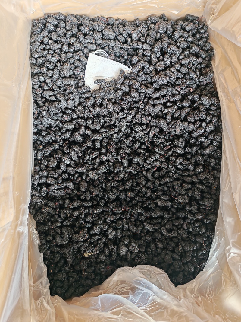 黑桑椹，桑椹干，四川桑椹，全国发货包邮！