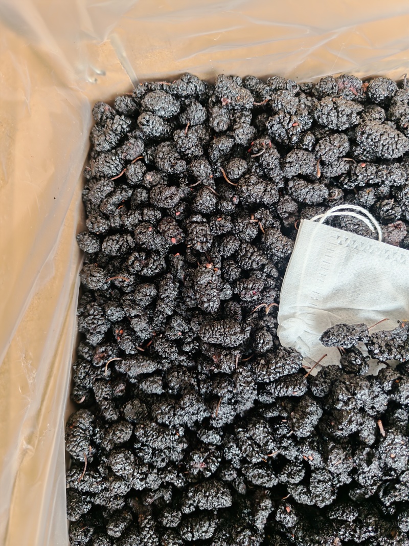 黑桑椹，桑椹干，四川桑椹，全国发货包邮！