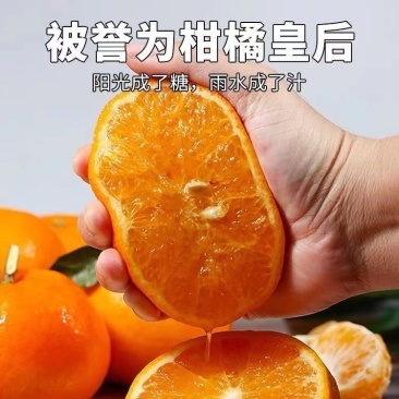 武鸣沃柑支持线上线下一件代发，全程一条龙服务。