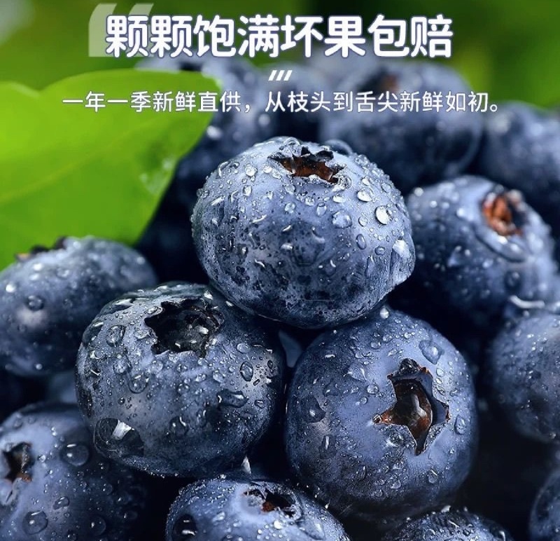 蓝莓花香L25L11F6优瑞卡品种齐全产地直发