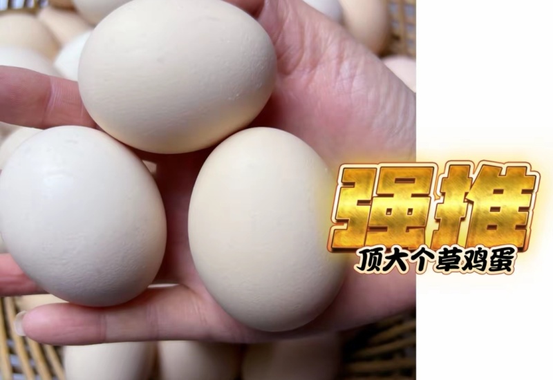 黑凤土鸡蛋草鸡蛋鸡蛋