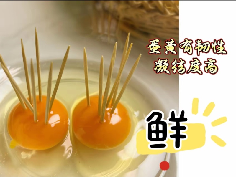 黑凤土鸡蛋草鸡蛋鸡蛋