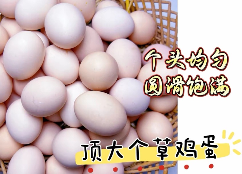 黑凤土鸡蛋草鸡蛋鸡蛋