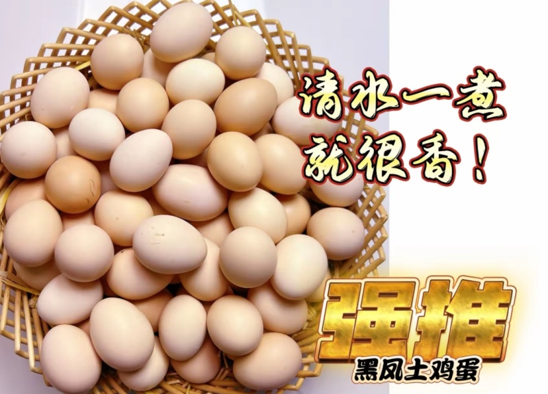 黑凤土鸡蛋草鸡蛋鸡蛋
