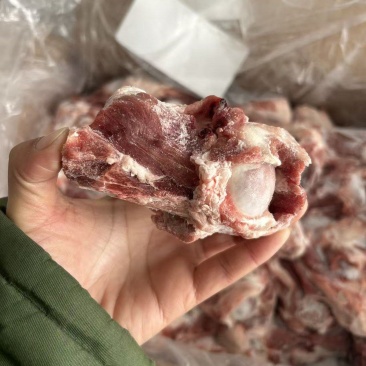 滩羊满肉羊棒骨