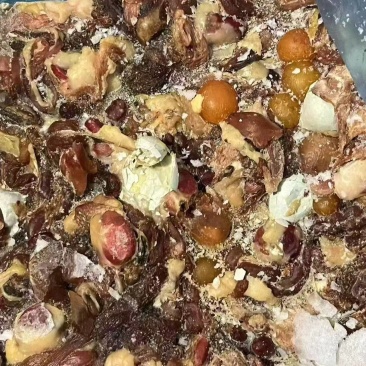 出售鹌鹑内脏10吨