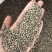 【文斌药业】火麻仁带壳火麻仁去壳火麻仁