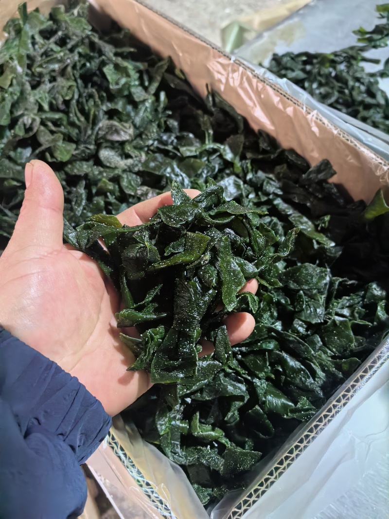 海带扣，盐渍海带