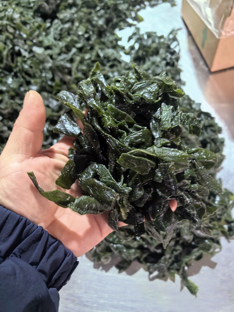 海带扣，盐渍海带