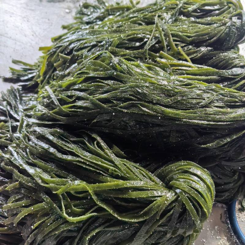 海带丝，盐渍海带丝，一刀扳