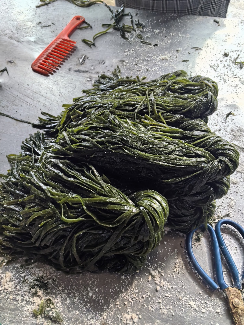 海带丝，盐渍海带丝，一刀扳
