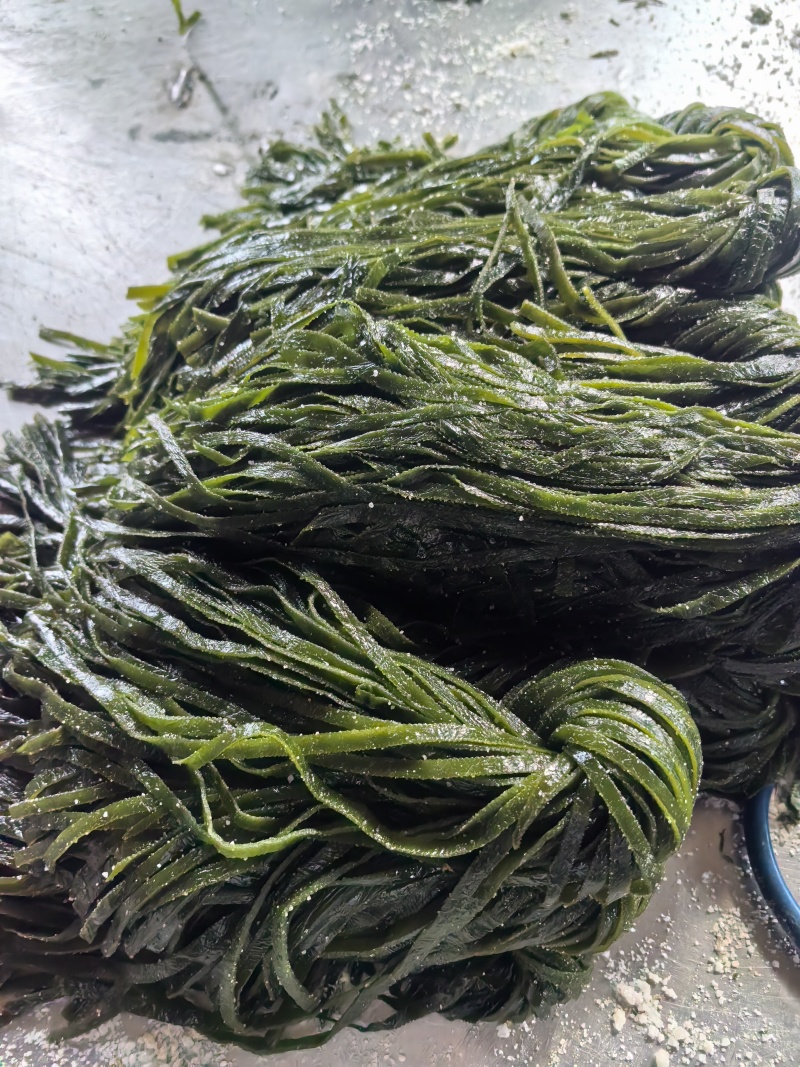 海带丝，盐渍海带丝，一刀扳