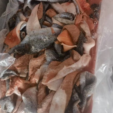 三文鱼皮一天出1吨