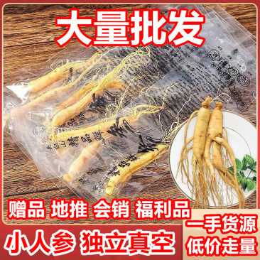 长白山保鲜人参保鲜参红参白参干人参林下参