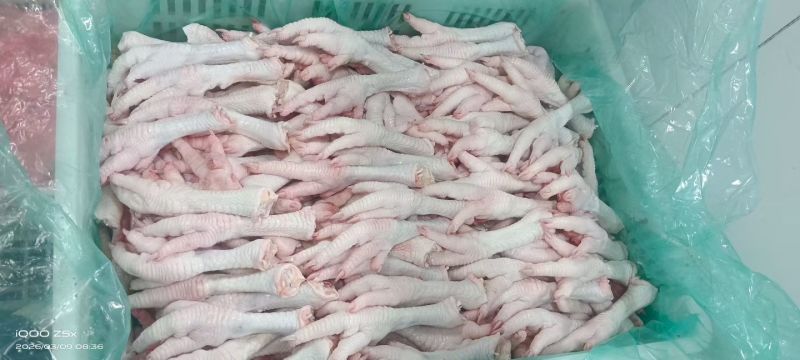 种母鸡爪55-65克左右