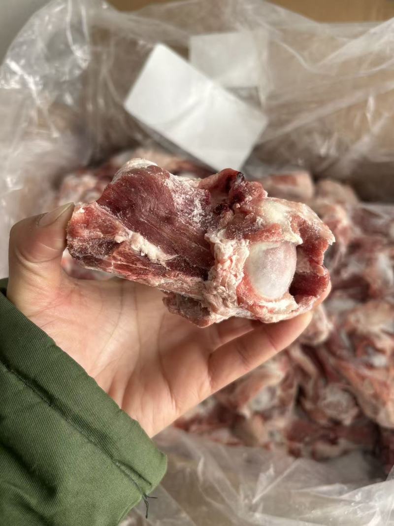 滩羊满肉羊后棒骨前棒骨