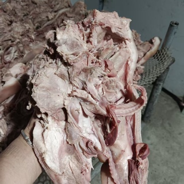 半成品猪头肉