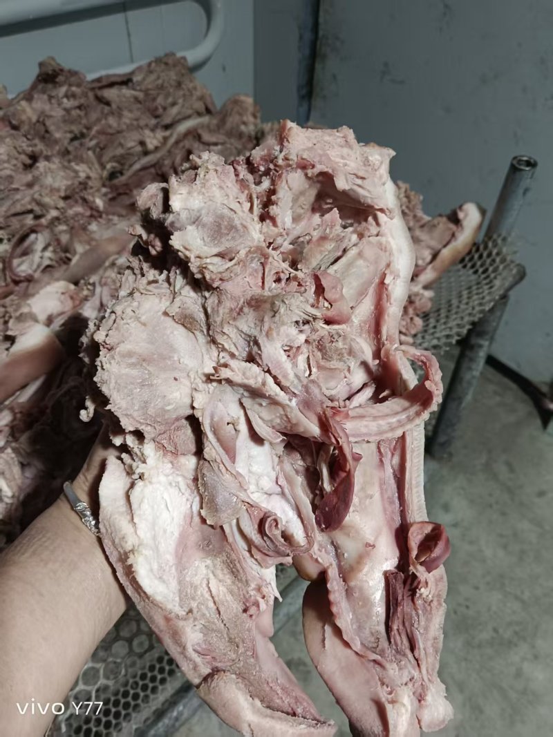 半成品猪头肉