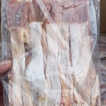 老鸭食带