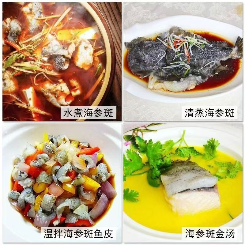 海参斑一条3-4斤