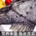 海参斑一条3-4斤