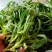 【精】面条菜/山东特菜/基地一手货源/量大从优/全国发货