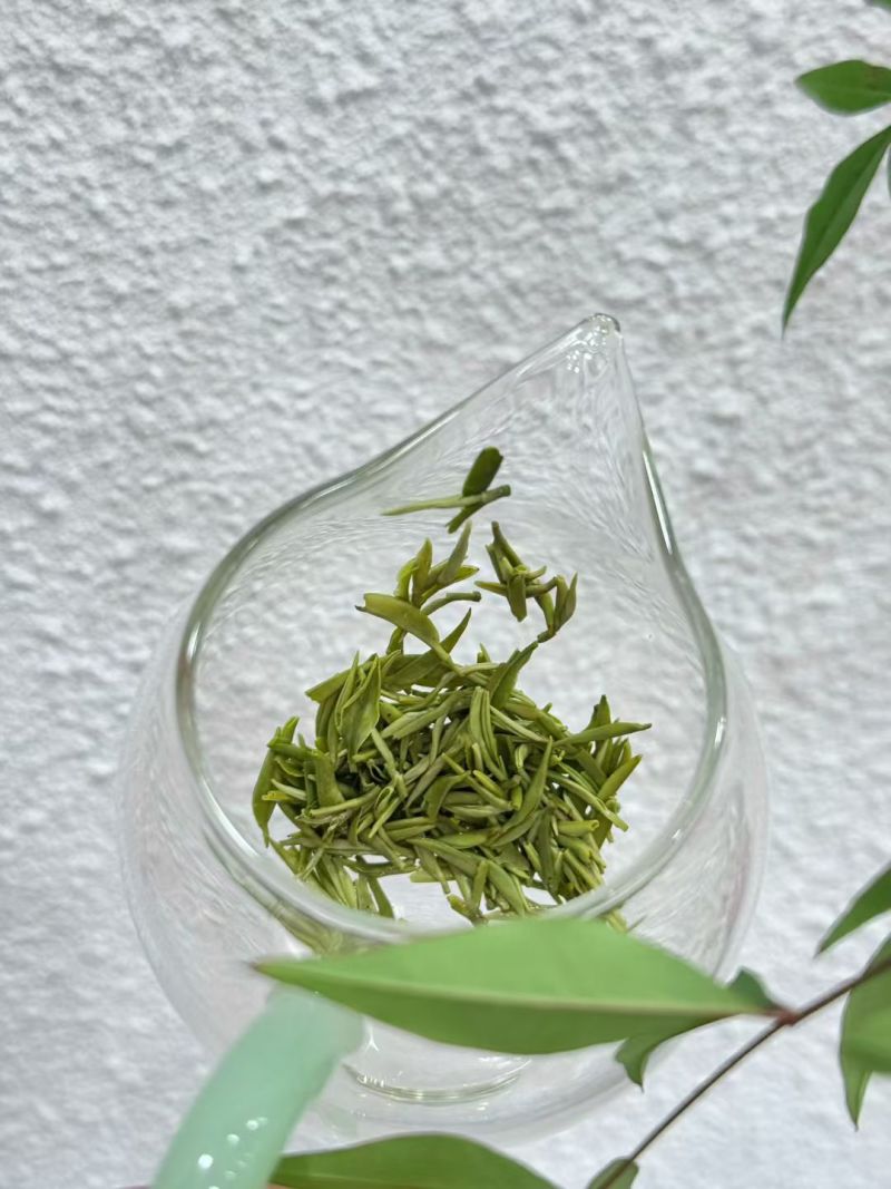 2026特级恩施玉露恩施富硒蒸青绿茶浙农117茶种芽尖茶