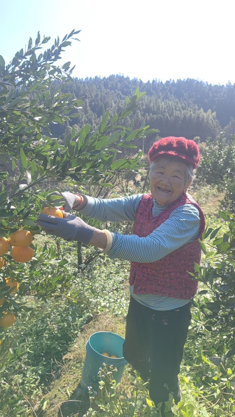 湘西碰杆