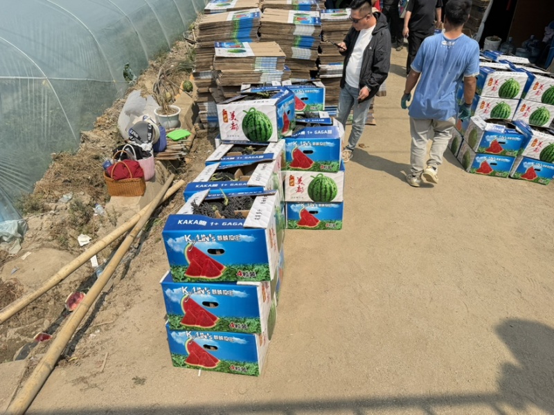 麒麟美都西瓜，产地直供价格优惠质量保障欢迎下单