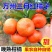 《精选》重庆默科特柑橘三月红基地直发以质论价量大从优