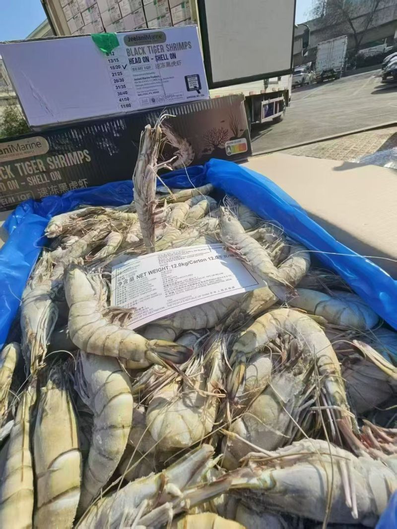 黑虎虾全规格