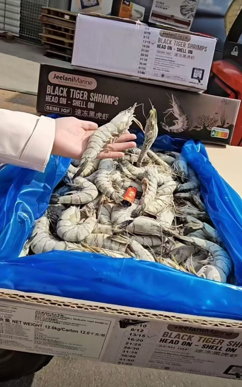 黑虎虾全规格
