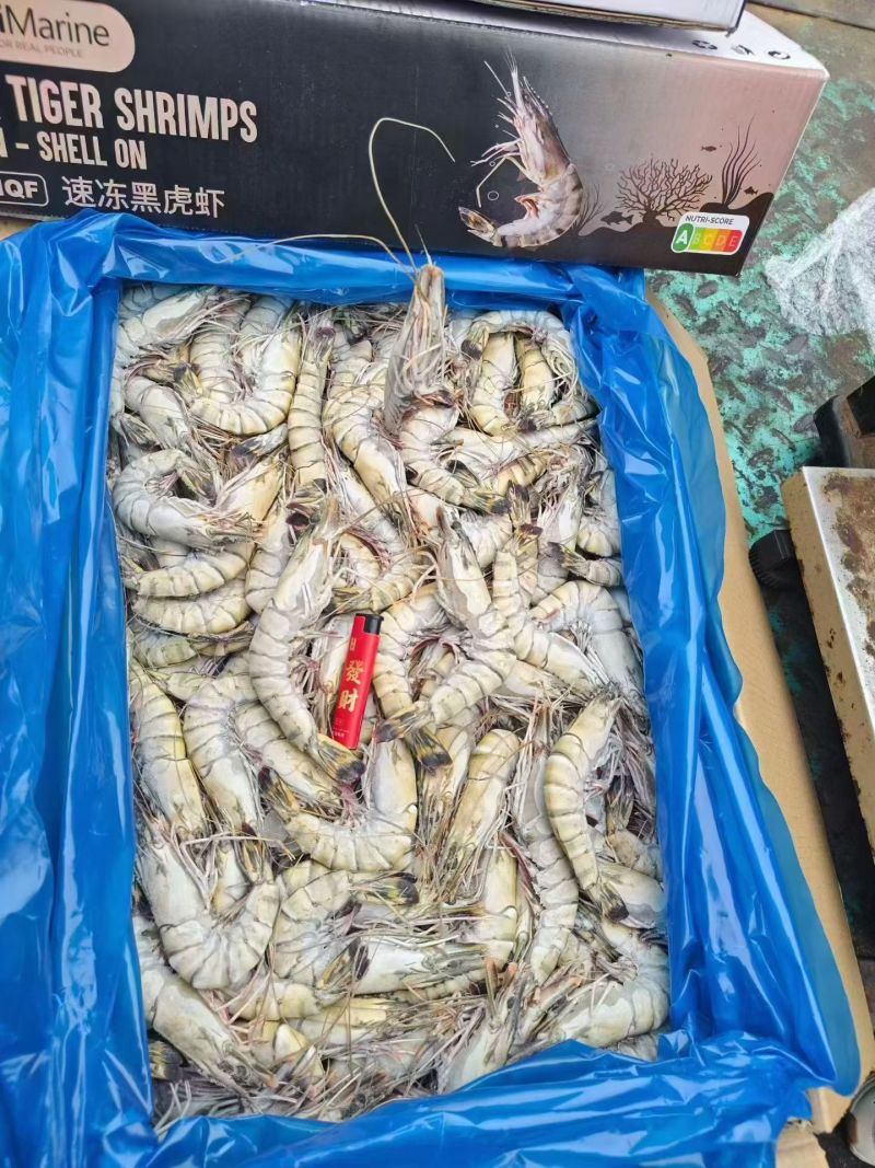 黑虎虾全规格