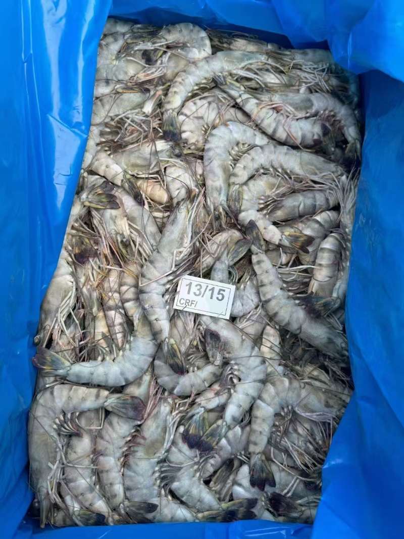 黑虎虾全规格