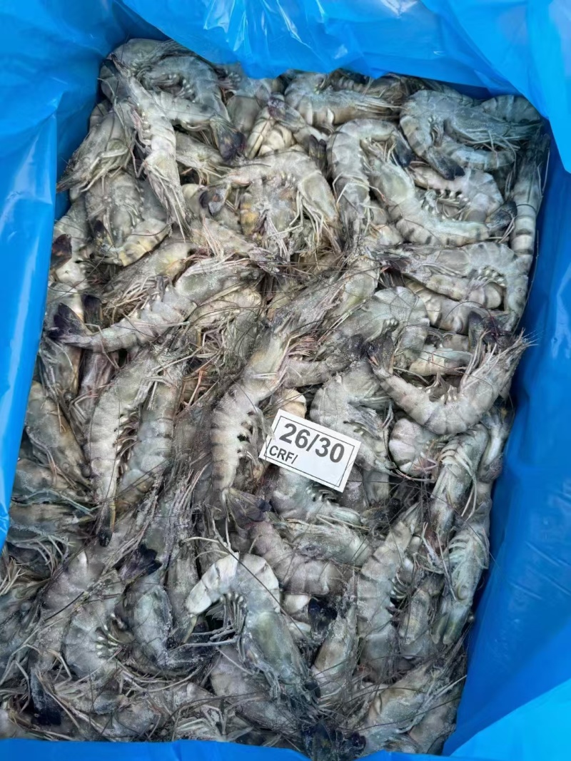 黑虎虾全规格