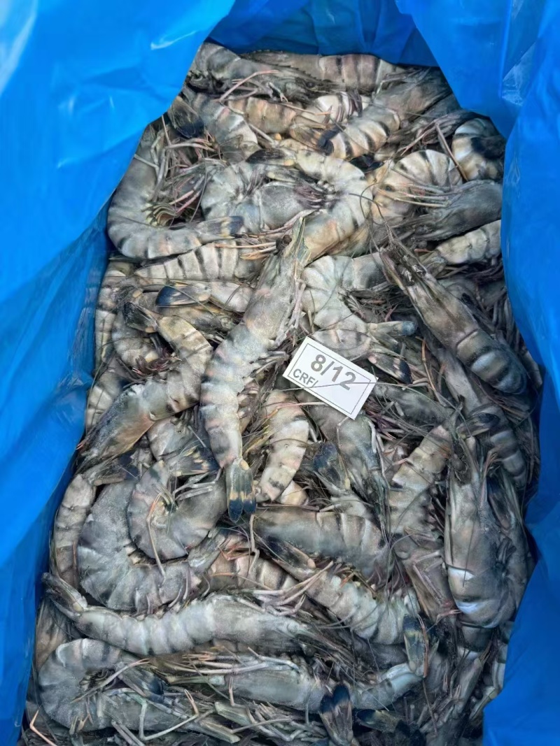 黑虎虾全规格