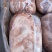 龙大四号肉卷