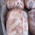 龙大四号肉卷