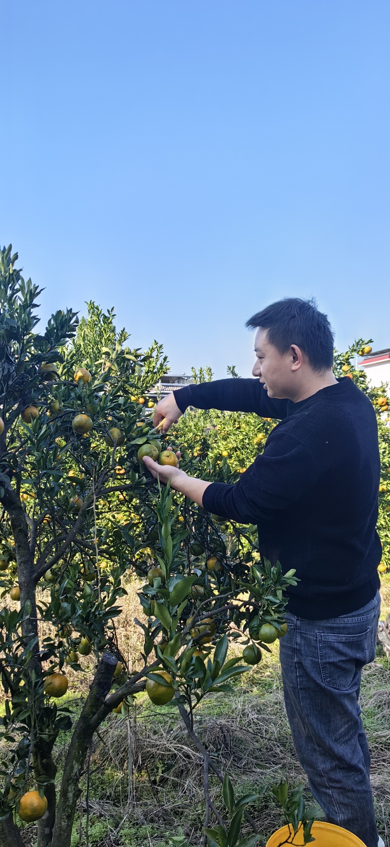 湘西碰杆