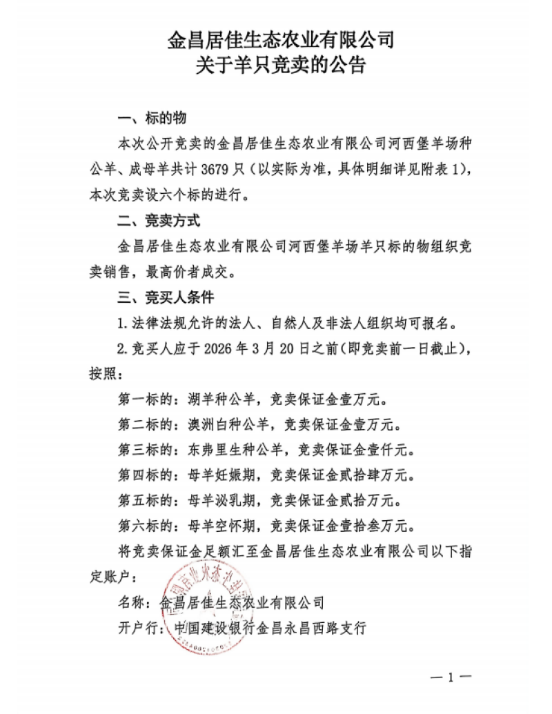 河西堡羊场成母羊，种公羊，竞卖
