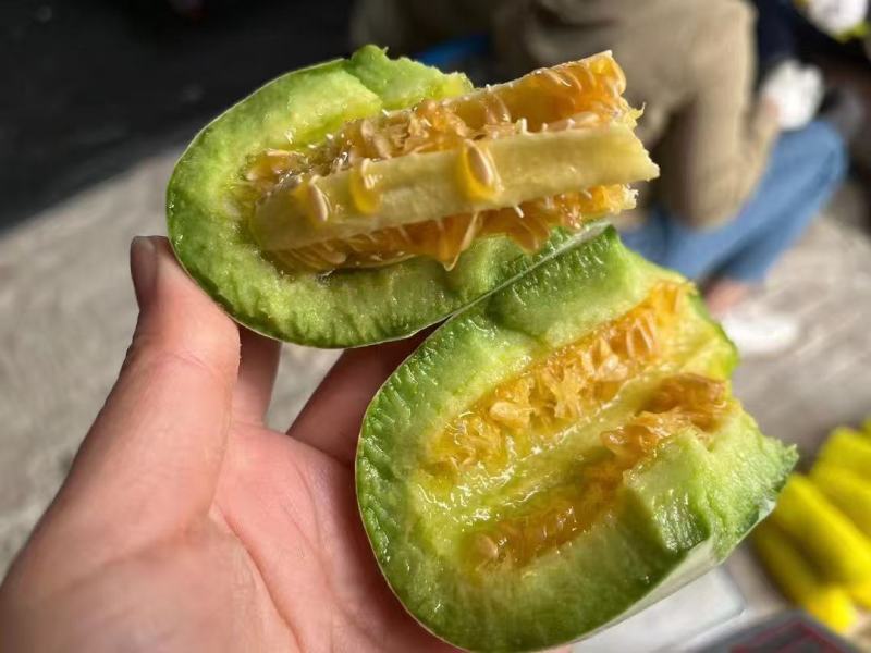 【推荐】羊角蜜甜瓜博洋61甜瓜，绿宝供应市场商超一手货源