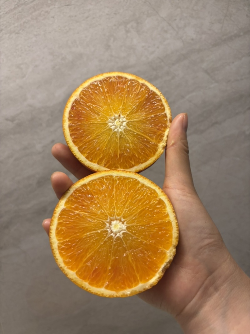 正宗长寿湖血橙