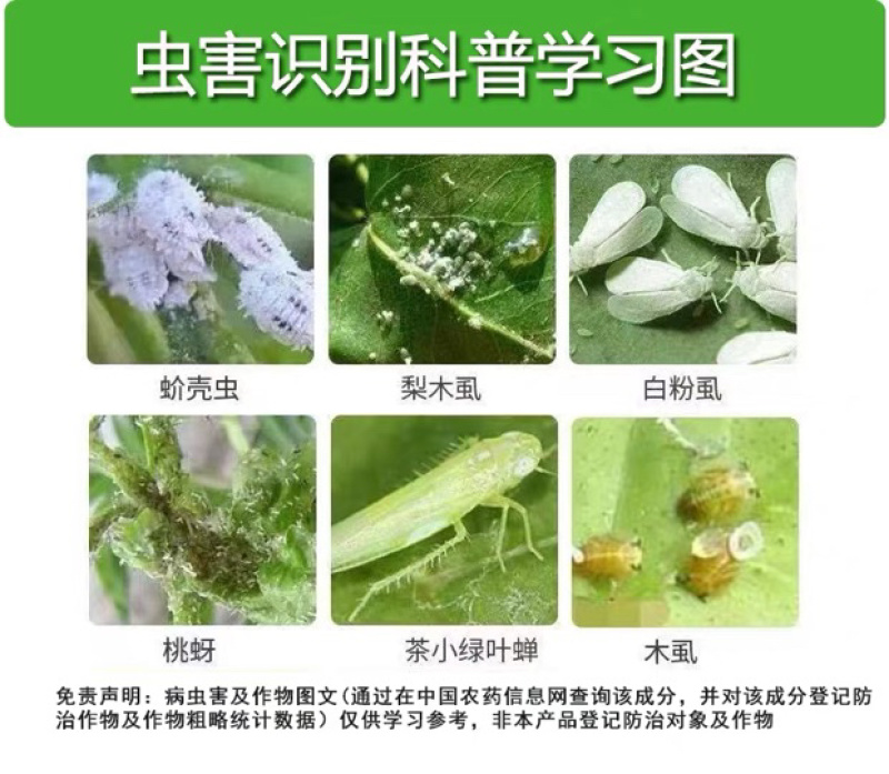 正介22.4%螺虫乙酯介壳虫白粉虱红蜘蛛杀虫剂