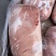 四号肉卷
