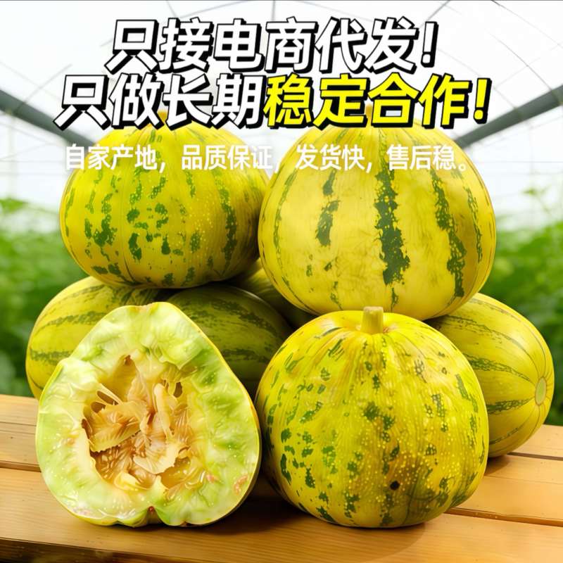 花美人甜瓜一件代发**电商卖家产地代发长期合作