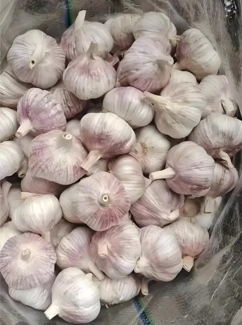 河南杞县大蒜