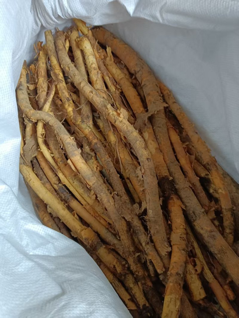 穿破石，精品深山野生穿破石。欢迎订购。价格不贵。