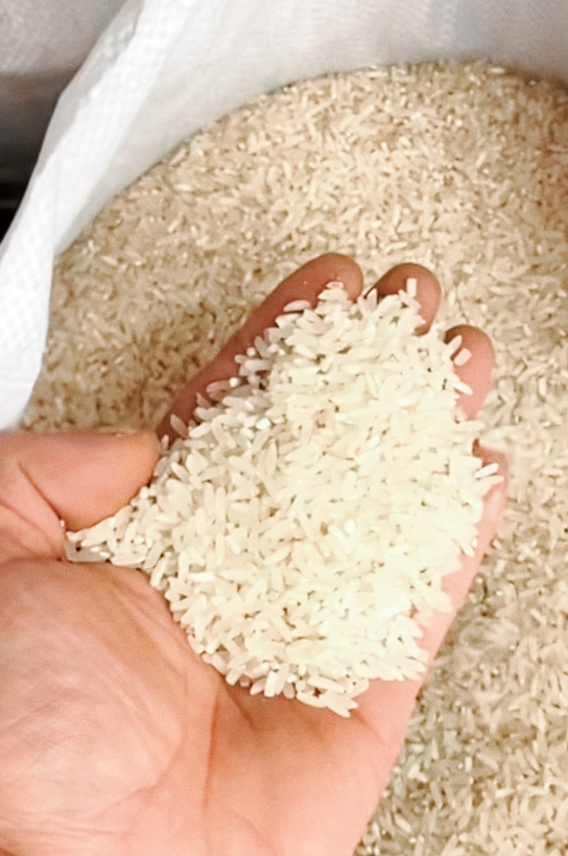 新县大别山深山天然农家大米