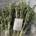 毛慈菇果荚，多芽黄花，紫花，杜鹃，一号。